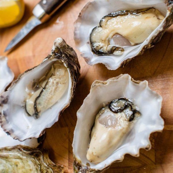 Oysters from Ireland supplied by Doyles Seafood - Whole (=In Shell=Unshucked) Fresh Oyster