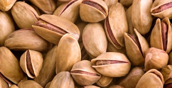 Pistachio from Turkiye supplied by Adagro - In-shell Pistachio Kernel