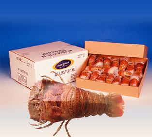 Frozen Lobster from Philippines supplied by Central Seafoods, Inc. - Fresh (=Chilled=Raw) Fresh Common Lobster