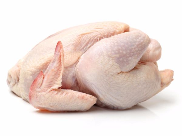 Chicken Meat from 네덜란드 supplied by Latin Link - Fresh (=Chilled=Raw) 냉동 미절단 닭고기