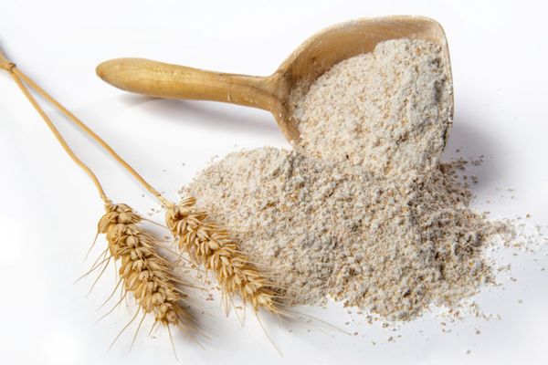 Wheat Flour from 영국 supplied by E.B. Bradshaw & Sons Limited - Individually Wrapped (=IW) 밀가루