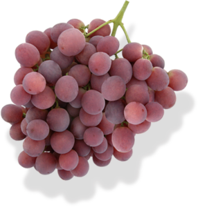 Grapes Red Seeded from 미국 supplied by Hronis Inc. - Seeded 신선 포도