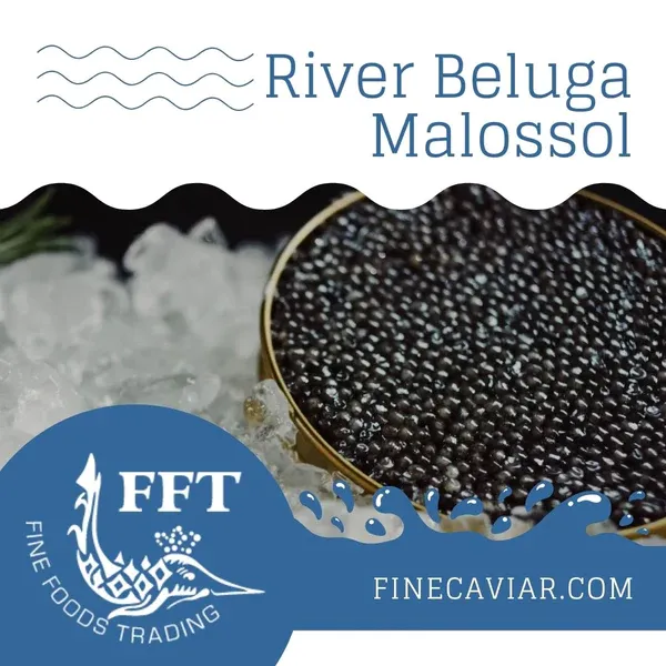 Fresh Caviar from 미국 supplied by Fine Foods Trading, Corp. - Beluga (=Huso huso) 캐비아