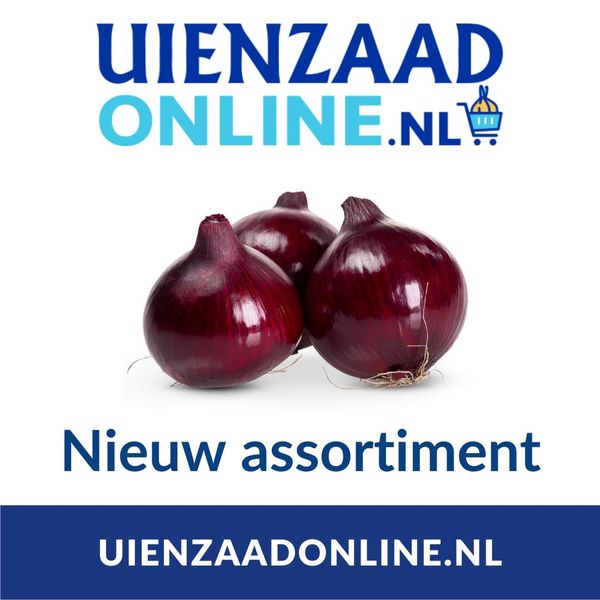 Onions from Netherlands supplied by Waterman Onion - from a pound to more than 1000 kilos per unit Fresh Onion