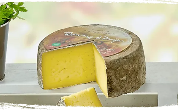 Tommes from 프랑스 supplied by Bernard Gaborit - Natural Rind 기타 치즈