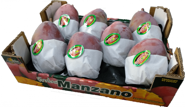 Mango from Spain supplied by Frutas Manzano (Frutas Rafael Manzano e Hijos SL) - Osteen Fresh Mango