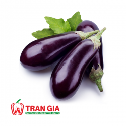 Eggplant from 베트남 supplied by Tran Gia Agriculture and Food Company Ltd. - Mini 가지