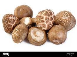 fresh shiitake mushroom from Spain supplied by Vegagel, S.L. - Fresh (=Chilled) Shiitake Mushroom