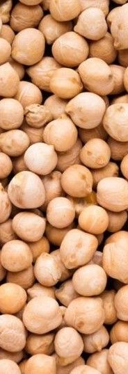 Soybean from Poland supplied by Agro Gold - Seed Soybean