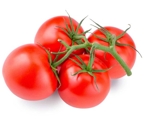 Tomato from 독일 supplied by Querdel Hof - 페이스트용 신선 토마토