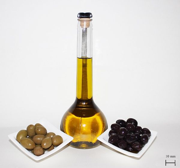 Olive Oil from 독일 supplied by Bressmer & Francke (GmbH & Co.) KG - Glass Jar (=Glass Bottle) 올리브유