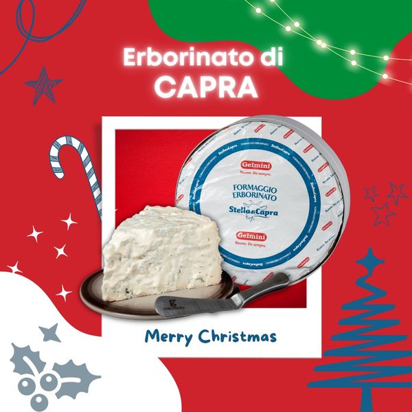 Gelmini goat blue cheese from 이탈리아 supplied by GELMINI CARLO S.R.L. - Conventional 블루 치즈