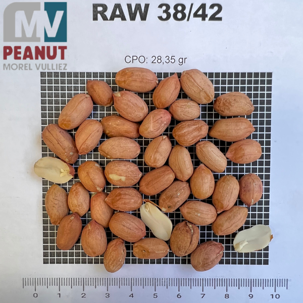 RAW 38/42 40/50 50/60 from 아르헨티나 supplied by MOREL VULLIEZ SA - 러너 생땅콩