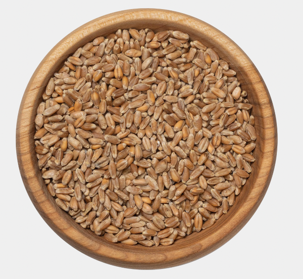 Wheat from 우크라이나 supplied by LINKOR TRADE - Whole 소맥