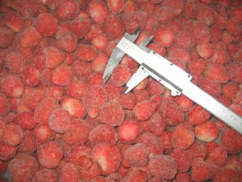 IQF Strawberry from China supplied by Hangzhou Happy Green Co.,  Ltd. - Honeoye Fresh Strawberry