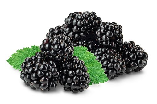 Blackberry from 미국 supplied by Edenberry Farm, LLC - Whole 신선 블랙베리