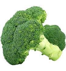 Broccoli from 튀르키예 supplied by METE GUNEYHAN DIS TIC GIDA MADD ITH IHR - Conventional 신선 브로콜리 꽃