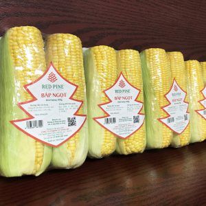 Corn from Vietnam supplied by RED PINE INTERNATIONAL JSC - Maize (Corn)
