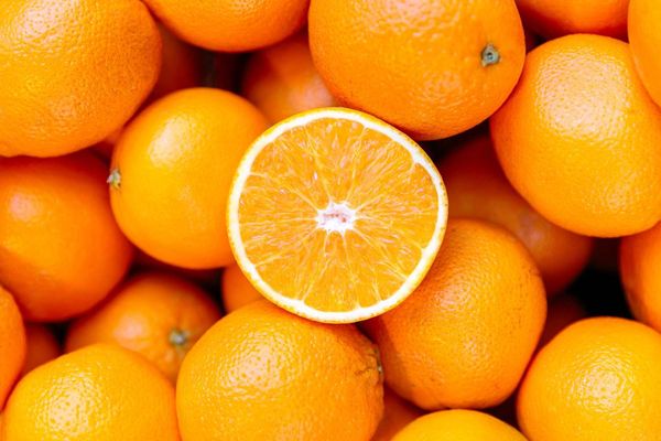 Fresh Orange from Germany supplied by Fresh-Connection Fruchtimport GmbH - Orange Fresh Orange
