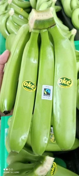 banana from 페루 supplied by Agroexportadora Sol De Olmos S.A.C. - Green 신선 바나나