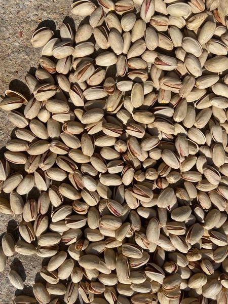 pistachio from 이란 supplied by hashemagha - High Quality 피스타치오 알맹이