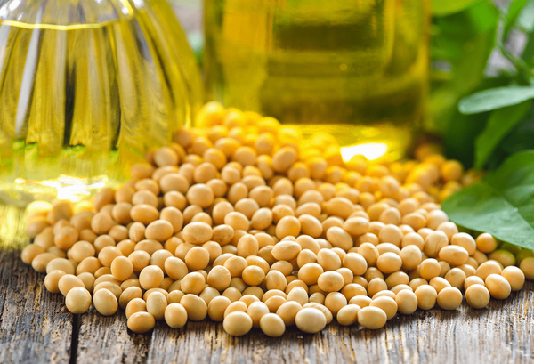 Soybean OIL from Germany supplied by ADM Germany GmbH - Refined Refined Soybean Oil