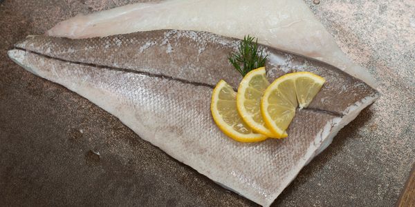Haddock from United Kingdom supplied by Subzero (Grimsby) Limited - Fresh (=Chilled=Raw) Fresh Haddock