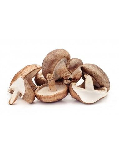 Shiitake Mushroom from 스페인 supplied by Claramunt Food Service - Small-Medium 표고버섯