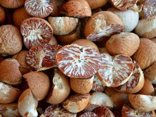 WHOLE | SLICED | BOILED BETELNUT/ARECANUT from 인도네시아 supplied by Boymaxwell Indojaya Grup Ltd. - 흰 빛 도는 갈색 아레카너트