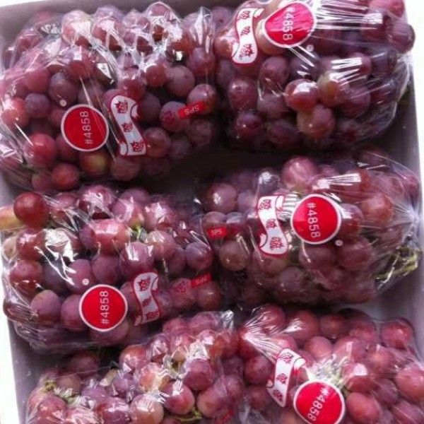Fresh Grape from China supplied by Jiangxi Hongyuan Fruit Industry - Whole Fresh Grape