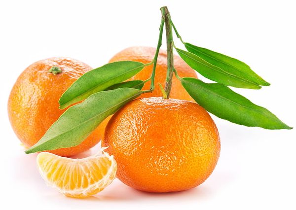 Mandarin from 남아프리카공화국 supplied by Casmar Citrus - Whole 신선 만다린
