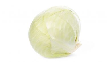 cabbage from 네덜란드 supplied by Snijpunt B.V. - 녹색 양배추 신선 양배추