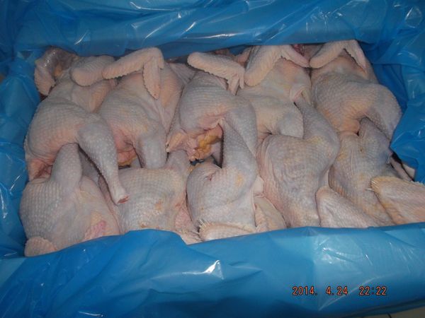 Frozen Hen from 튀르키예 supplied by Rdm Foods - Feet (=Paw=Claw) 냉동 미절단 닭고기