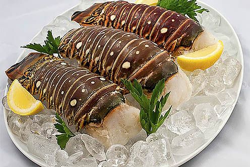 Lobster Tails from United States supplied by GREAT-ALASKA-SEAFOOD - Brazilian Lobster Frozen Common Lobster