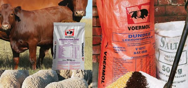 Molasses Meal from 남아프리카공화국 supplied by Tongaat Hulett Limited - 당밀