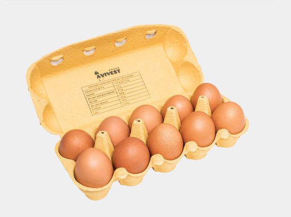 Fresh Chicken Egg from 루마니아 supplied by Avi-Vest - In Shell 달걀