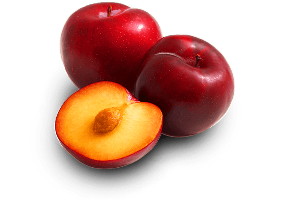 Plum from 아르헨티나 supplied by Fragapane Hermanos S.R.L. - Plum - D'Agen Sugar Plum 신선 자두