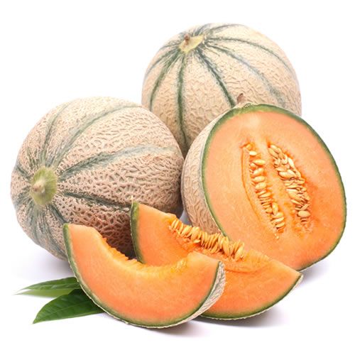 Melon from 모로코 supplied by AGRUPA MARCA - Orange Flesh 신선 멜론(머스크 멜론)