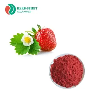 Freeze Dried Strawberry Powder from 중국 supplied by Xi'an Xiaocao Botanical Development Co., Ltd. - Red 신선 딸기