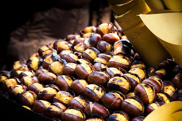 Chestnut from Italy supplied by Sapore di Castagne - Cream Chestnut Kernel