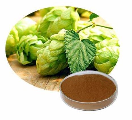 hop from 미국 supplied by US Hop Source - Extract 홉