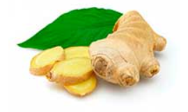 Ginger from Spain supplied by Olmo Mazcuñán, S.l. - Whole Whole Ginger