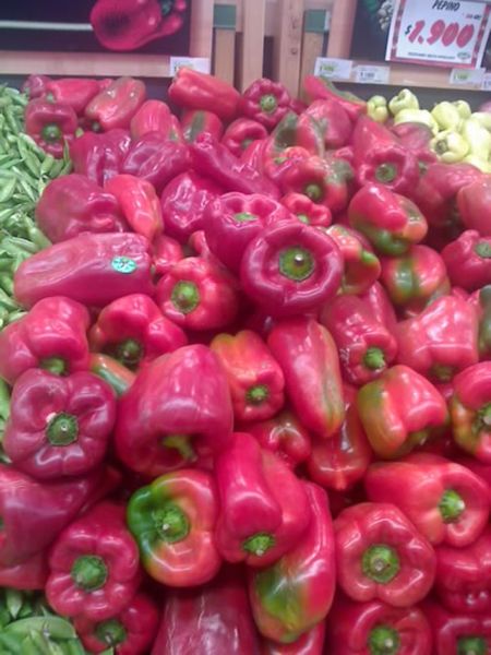 Bell Pepper from 콜롬비아 supplied by Frutas Selectas del Valle - Red 신선 피망