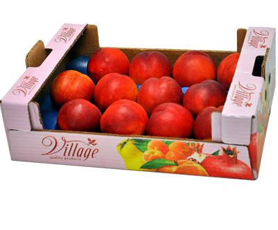 Nectarine from 튀르키예 supplied by Mertpa Tarim - Red Skin Color 신선 천도복숭아