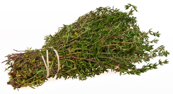 Fresh Thyme from Israel supplied by STM Agricultural Export Ltd - Whole Thyme