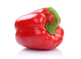 Fresh Bell Pepper from United States supplied by Steinkrüger Frucht-Frischehandel GmbH - Red Fresh Bell Pepper