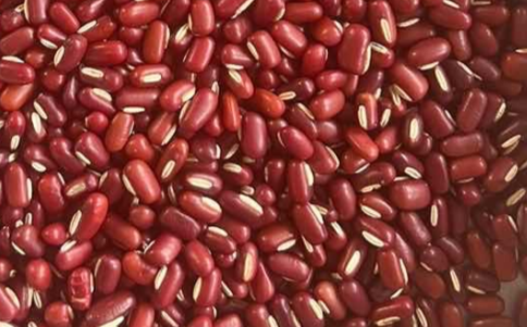 RED BEANS from 중국 supplied by LAIWU TAIFENG FOODS CO., LTD - 표준 말린 팥