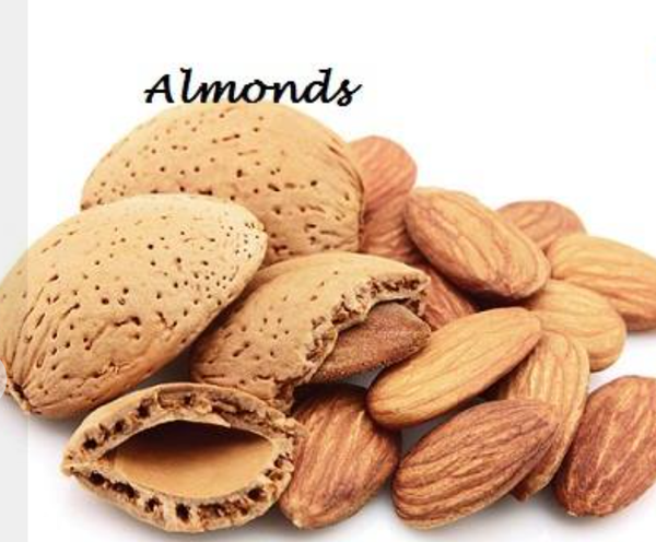 Almond from Afghanistan supplied by King Khan Ltd. - Brown Almond Kernel