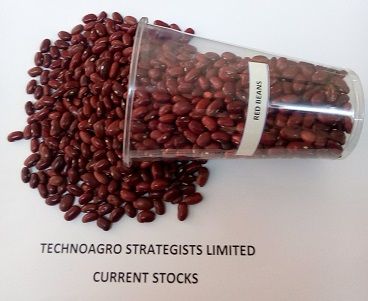 Red beans from Tanzania supplied by TechnoAgro Strategists Limited. - As per customer's request Sweet Red Beans