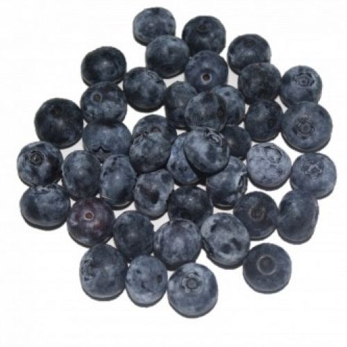 Frozen Blueberry from 스페인 supplied by FAUNDEZ Gourmet - IQF (=Individual Quick Freezing) 냉동 블루베리